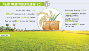 Aman yield rises in FY23 despite fall in Aush