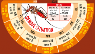 Dengue tolls see 25-fold rise in 7 months