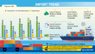 Imports dip, reserves still bleed