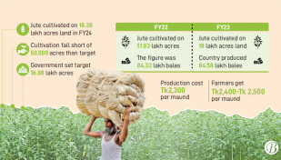 Jute output may fall as fair price eludes growers