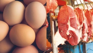 Traders want to import eggs, meat