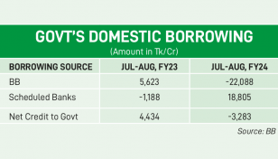 Govt turns to scheduled bank borrowing