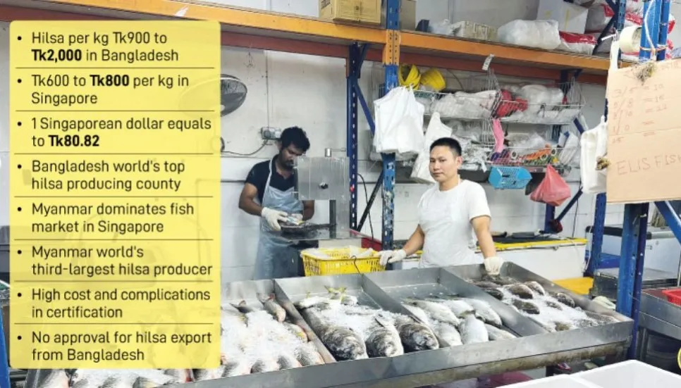 Hilsa cheaper in Singapore than Bangladesh 