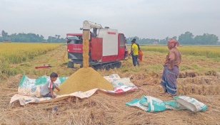 Tangail farmers benefit from combined harvester