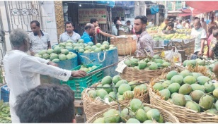 Satkhira mango market abuzz with buyers, sellers