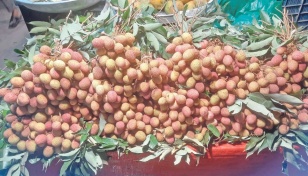 Immature litchis flood Barishal markets