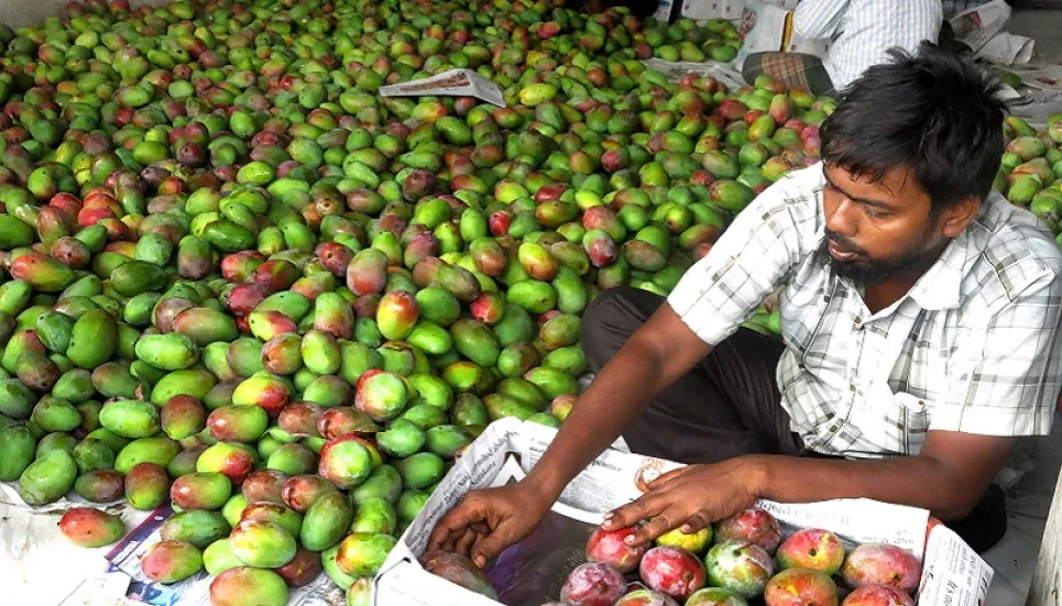 Mango farmers, traders fear loss as lockdown continues