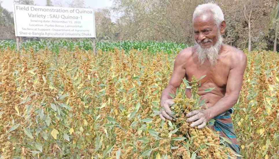 Quinoa: Cultivating the 'mother of all grains' 