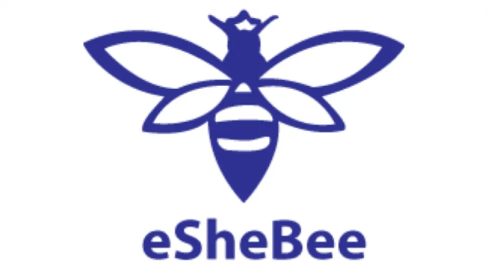 6 women get eSheBee Fellowship