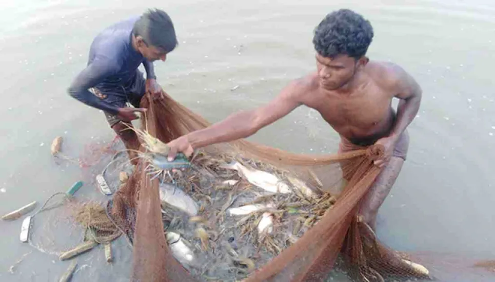 Khulna shrimp farmers struggle to stay afloat amid pandemic 