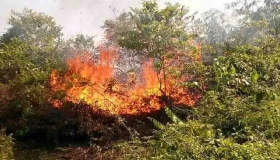 Fire at Lawachara forest doused