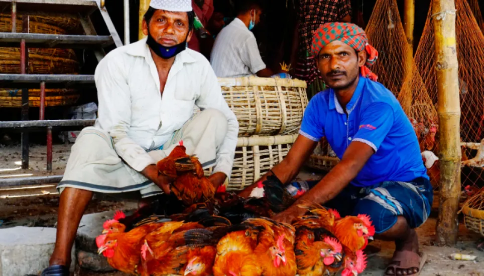 Chicken gets cheaper due to heatwave