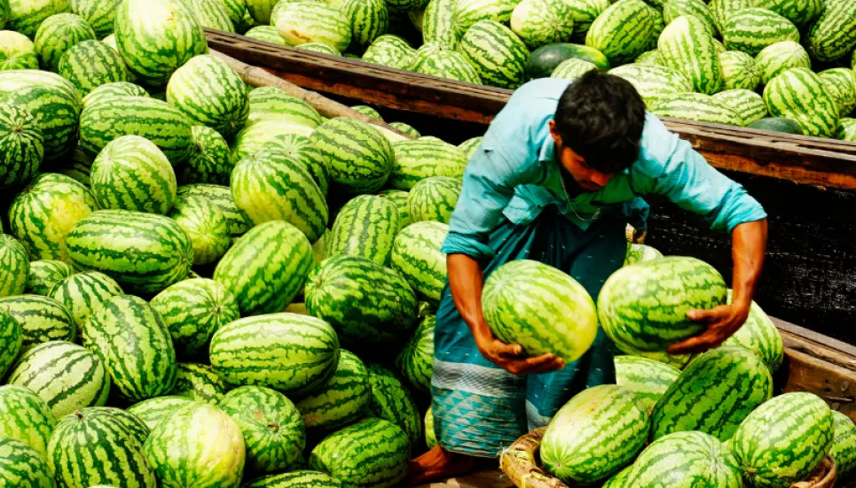 Watermelon price gets doubled at a single barter