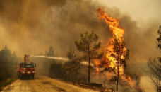 Climate change: July Earth's hottest month ever