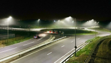 LED streetlights contribute to insect population declines: study