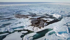 Greenland expedition discover 'world's northernmost island'