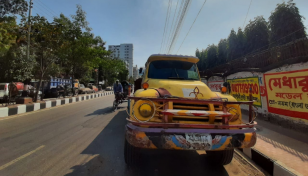 Elderly woman hit by truck in Mohammadpur