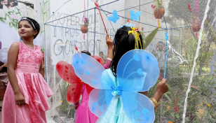 Butterfly fair held at JU