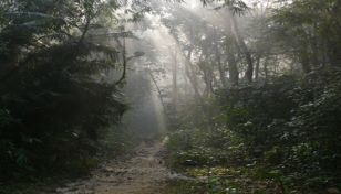 CTTC's arms recovery raid underway at Satchari National Park