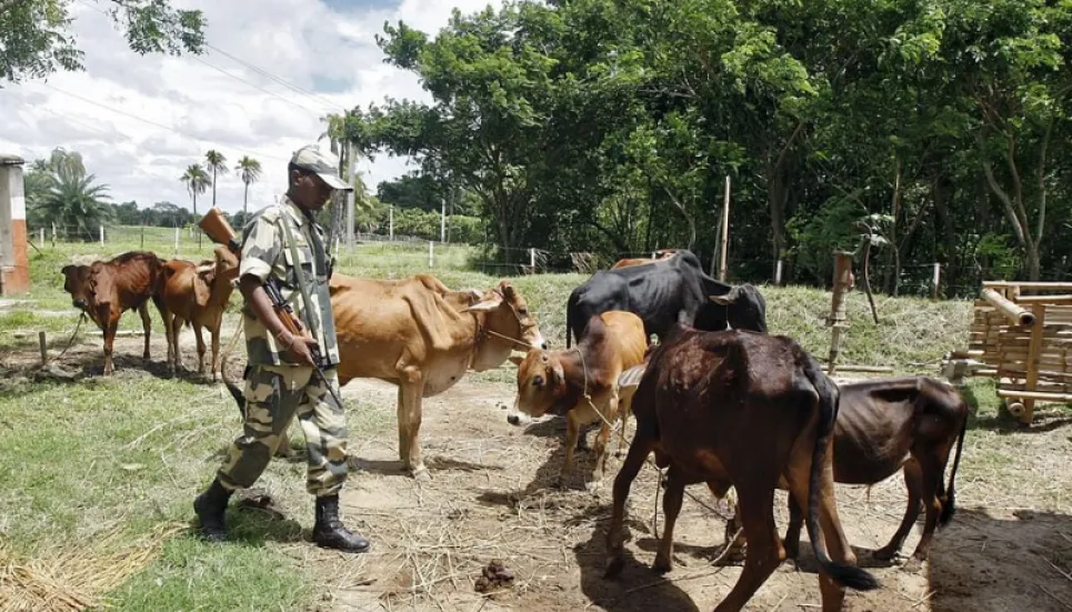 Assam passes bill to prevent cattle smuggling to Bangladesh