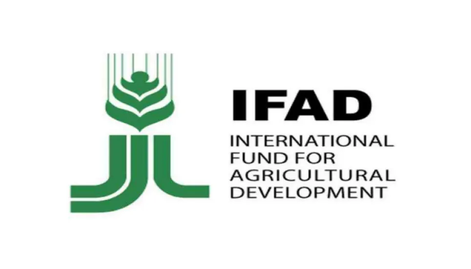 Food systems ignoring poor are bound to fail: IFAD