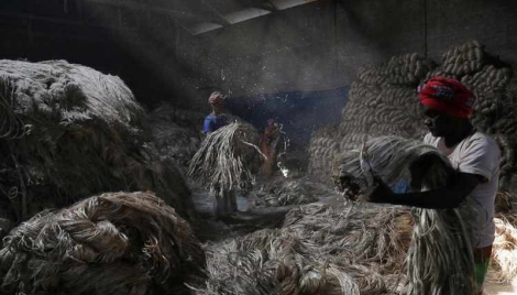 Tk 212cr allocated for workers of closed jute mills