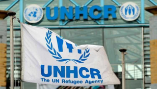 UN, partners seek $852.4m to aid Rohingyas