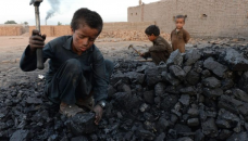 Child labour swells for first time in two decades: UN