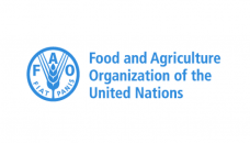 FAO supports Bangladesh in crop sector’s investment