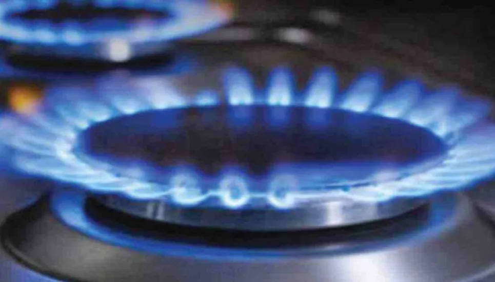 Initiative soon to remove discrimination in gas supply: Energy Secy