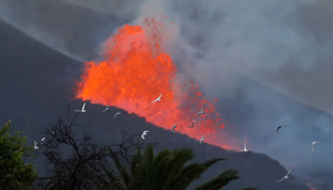 Spain declares volcano hit La Palma as disaster zone