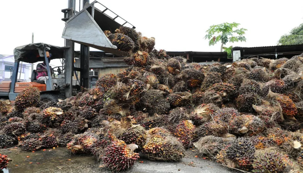 Malaysian palm oil giant accused of mistreating workers