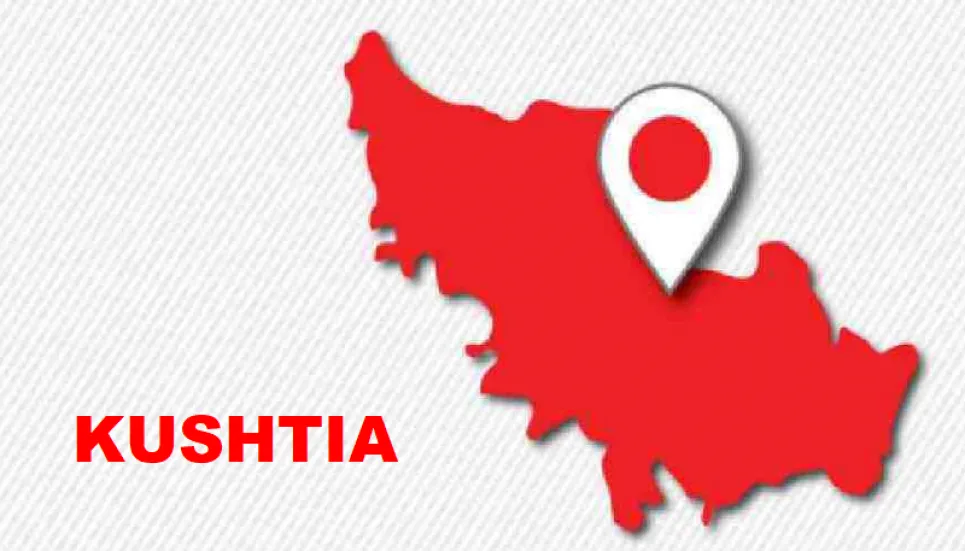 2 die in Kushtia after inhaling toxic gas