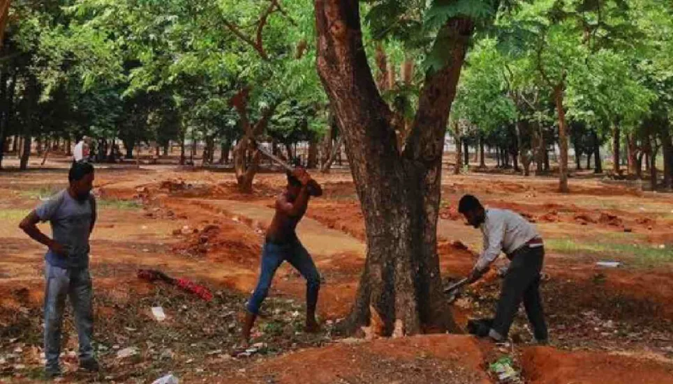 HC bans tree cutting at Suhrawardy Udyan till May 20