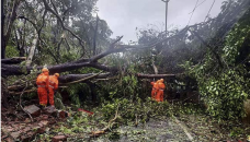 6 dead, many evacuated as Cyclone Tauktae hits India