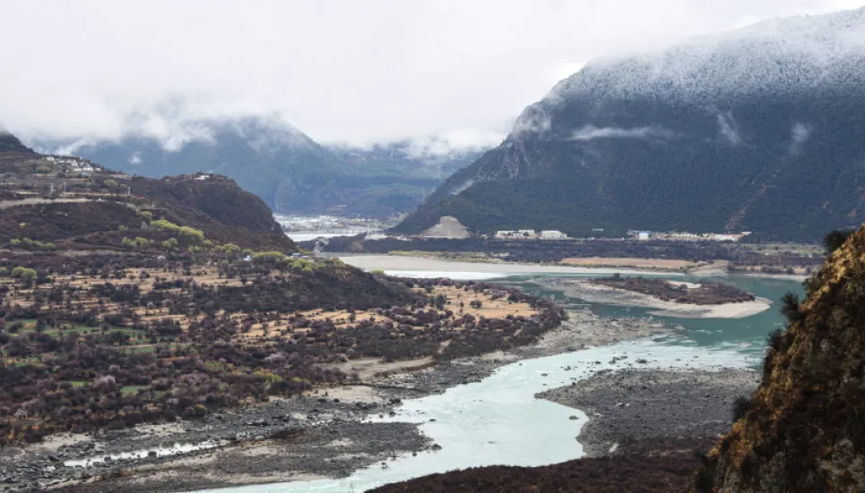 China reports H5N8 avian flu in wild birds in Tibet