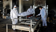 Excess deaths due to pandemic much higher than reported Covid toll: WHO