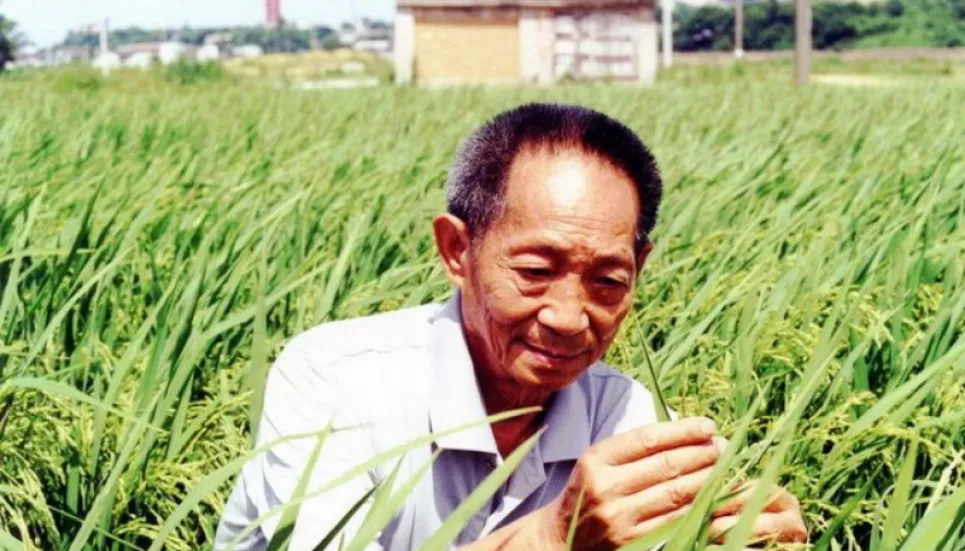 ‘Father of hybrid rice’ Yuan Longping passes away