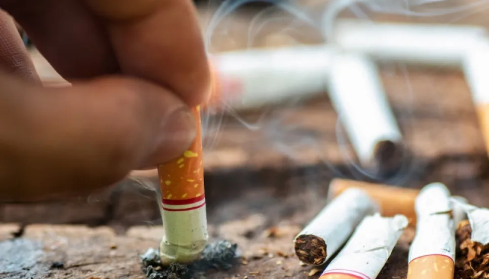 Amend law to tackle tobacco-related deaths: Speakers