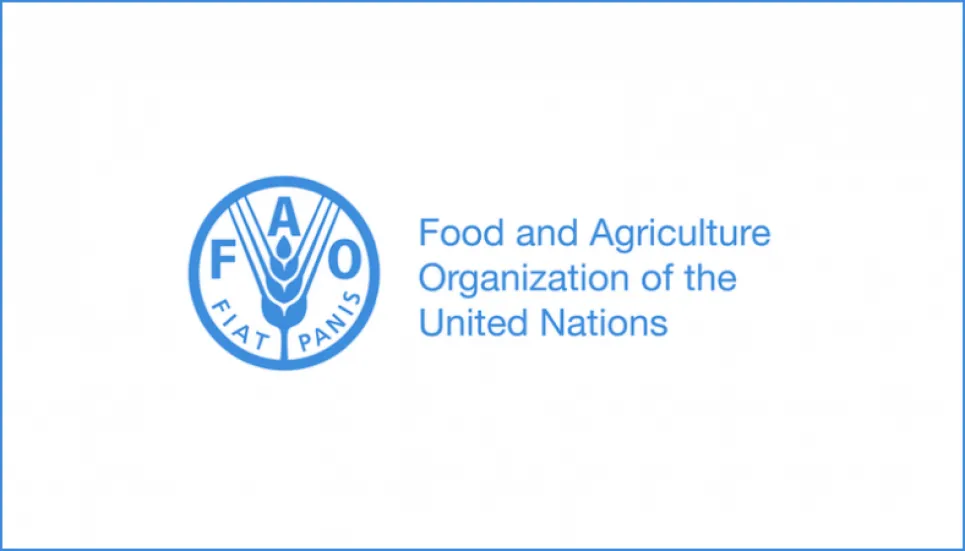 Global food prices reach new peak since July 2011: FAO