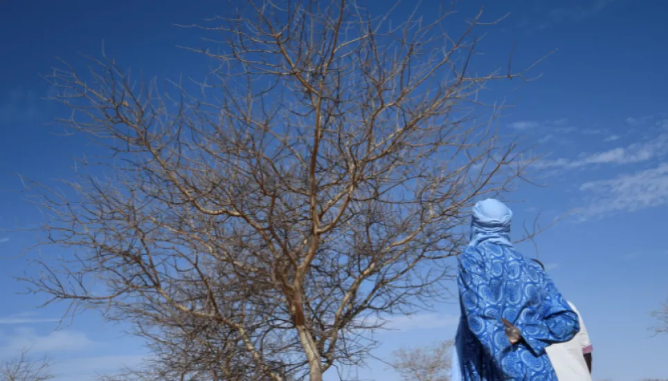 Great Green Wall brings life back to the Niger desert  