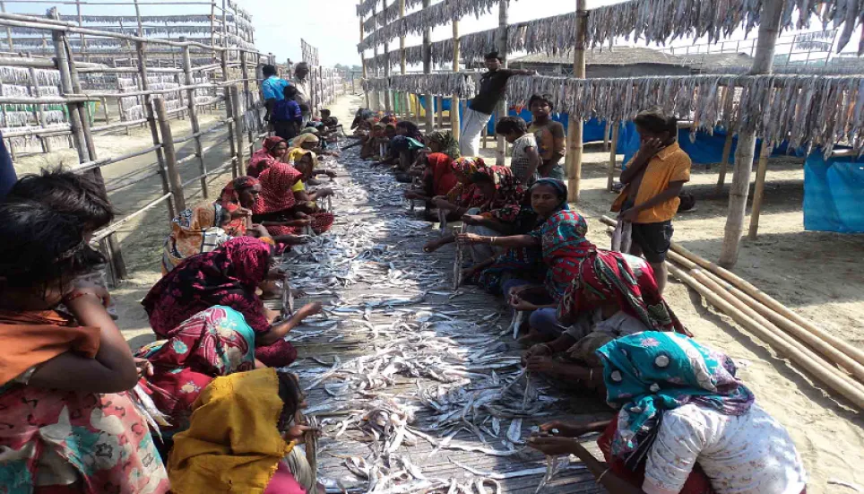 Is Bangladesh's dried fish industry climate resilient?