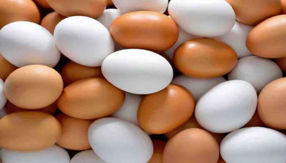 Price of eggs to be brought within purchasing capacity of masses: Minister 