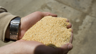 Govt imposes ban on soybean meal exports