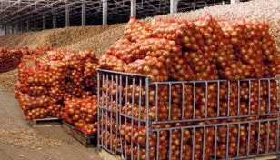 Country produces 33 lakh tonnes onion this year: Razzaque