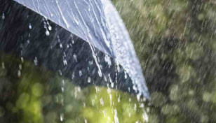 Light to moderate rain likely 