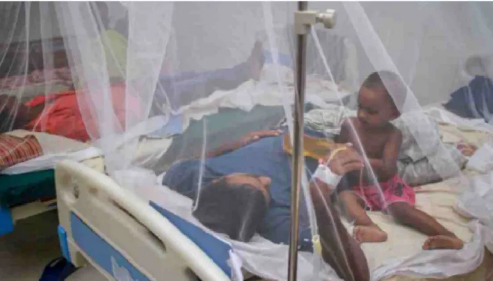 123 more Dengue patients hospitalised, no fresh death