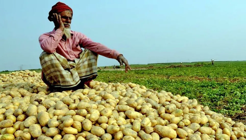 Country likely to face 30% potato shortage this year