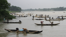 Experts warn over loss of fish species from Halda River 