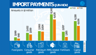 Slipping import payments a red flag